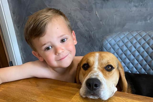 Three year old Archie Vaughan with Bella the Beagle.