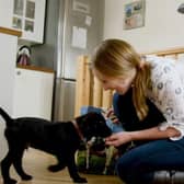 The Dogs Trust is urging dog owners not to forget so-called ‘pandemic puppies’ who still have plenty of ‘firsts’ to experience in the big wide world.