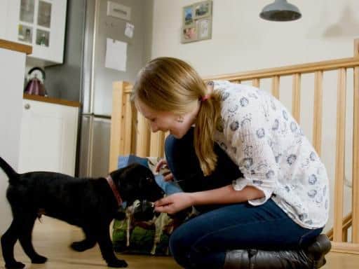 The Dogs Trust is urging dog owners not to forget so-called ‘pandemic puppies’ who still have plenty of ‘firsts’ to experience in the big wide world.