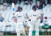 PROMISING: Yorkshire's Harry Duke. Picture by John Clifton/SWpix.com