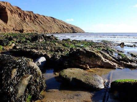 The coastline at Filey