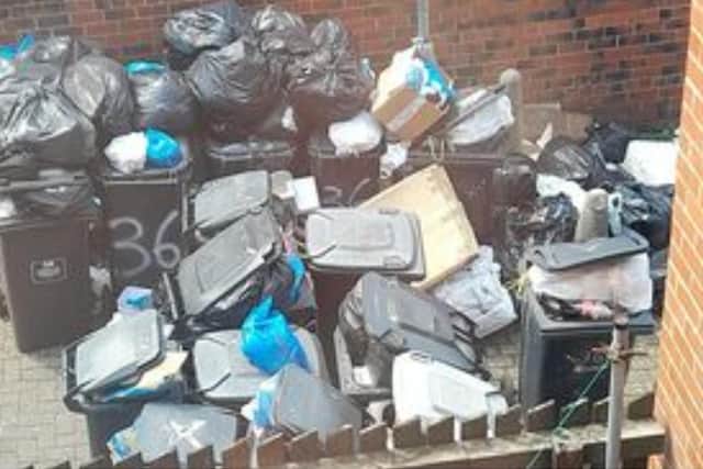 A resident of Lascelles Terrace told the YEP it had been "three weeks" since the bins were collected - with insects and rats spotted on the street.