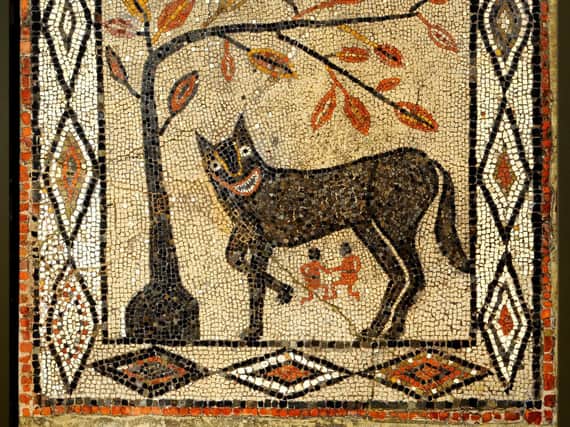 The eye-catching wolf mosaic is believed to date from around 300-400 AD.