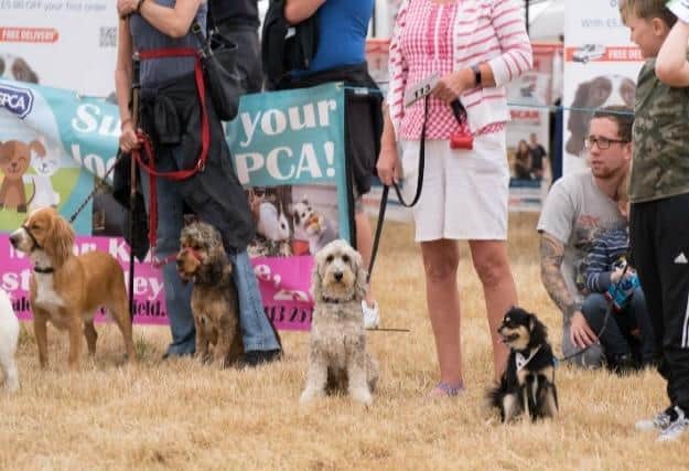 The RSPCA Leeds, Wakefield and District Branch is inviting pet-owners and members of the local community to their East Ardsley centre for "a day of fun and furry competition".