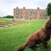 The Great British Dog Walk will be returning to Temple Newsam next month.