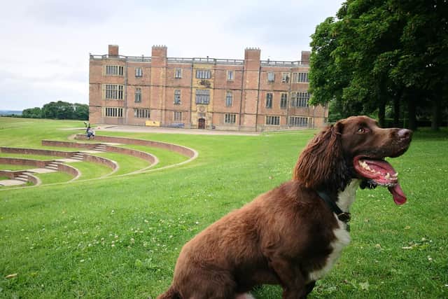 The Great British Dog Walk will be returning to Temple Newsam next month.