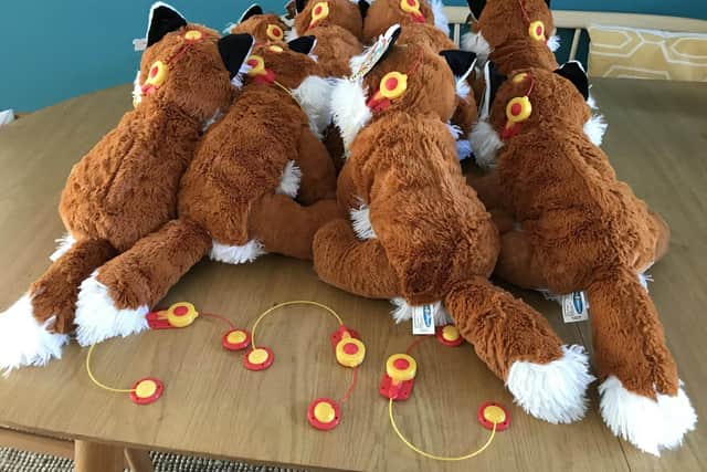 The Sheffield Association for Spina Bifida and Hydrocephalus supplied 20 cuddly foxes for Mr Hardman to fit with the 3D-printed brain implants