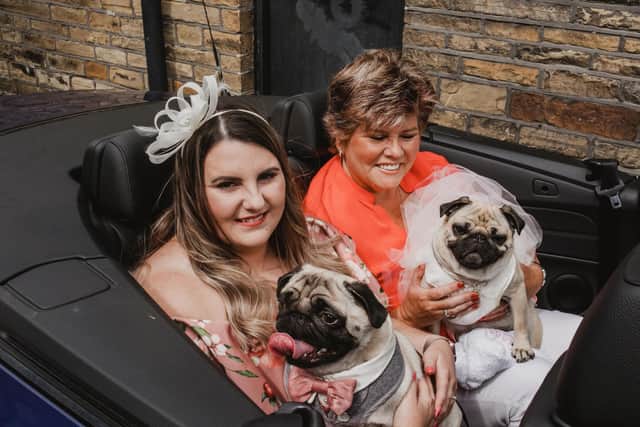 Percy's owner Danii said the wedding was one of the proudest days of her life