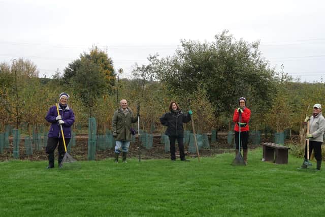 Volunteers from Rodley Nature Reserve planting their birch tree copse.