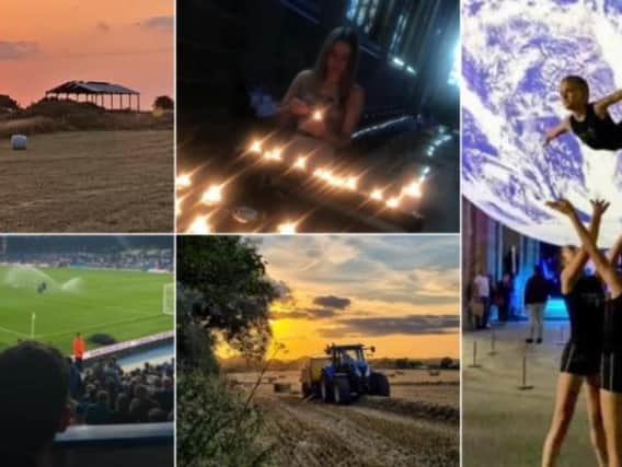 Among this week's best photos are snaps of wildlife, industrial views and, of course, a series of incredible sunsets.