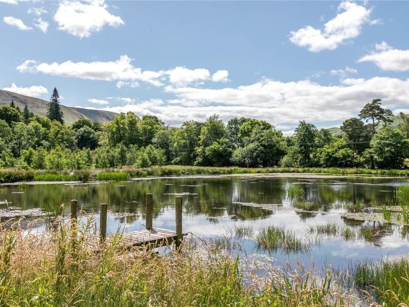 Credit:Savills