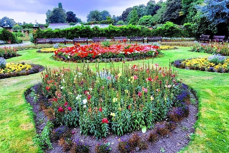 Mary Ann Arkley's photo of the gorgeous display of flowers in The Rose Garden at Thornes Park.