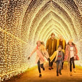 TN Tunnel of Light by Mandylights, My Christmas Trails 2020. Photo by Richard Haughton © Sony Music