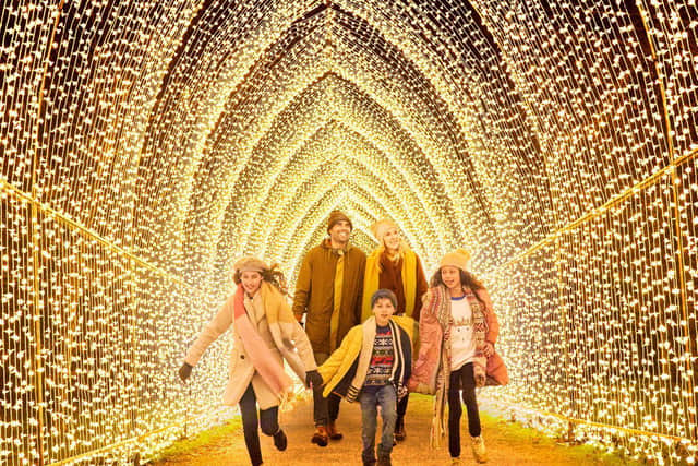 TN Tunnel of Light by Mandylights, My Christmas Trails 2020. Photo by Richard Haughton © Sony Music