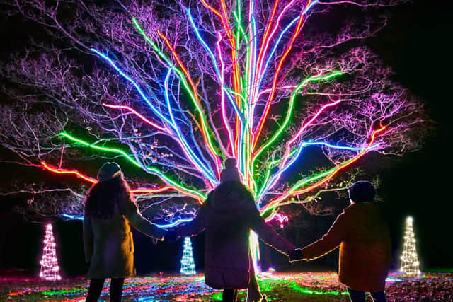 TN.Neon Tree by Culture Creative, My Christmas Trails 2020. Photo by Richard Haughton © Sony Music