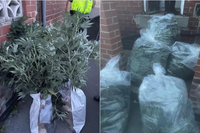 Police have seized a large quantity of cannabis during a raid in Chapeltown (Photo: WYP)