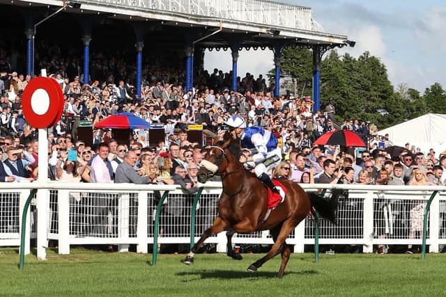 OUT IN FRONT: Bielsa, ridden by Kevin Stott, storms to victory in Saturday's Ayr Gold Cup. Picture by Jeff Holmes/PA Wire.
