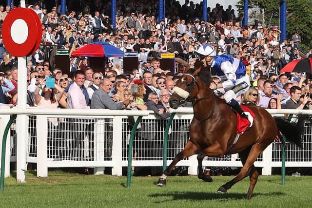 Kevin Stott lets out a scream as he wins the Ayr Gold Cup on Bielsa.