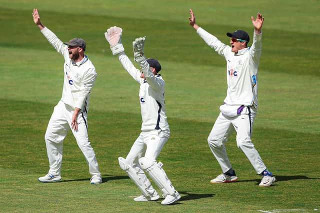 Yorkshire’s Tom Kohler-Cadmore. Picture by Alex Whitehead/SWpix.com