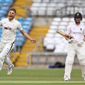 NOT TO BE: Ben Coad of Yorkshire celebrates tacking the wicket of Warwickshire's Sam Hain at Headingley last week. Picture by Paul Currie/SWpix.com