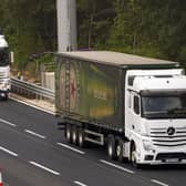 Temporary visas could be given out to lorry drivers