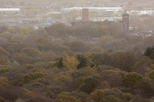 More than a million trees will be planted along the M62 corridor