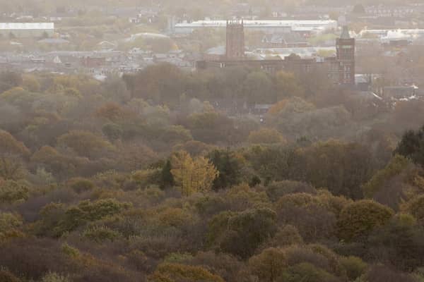 More than a million trees will be planted along the M62 corridor