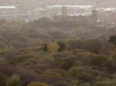 More than a million trees will be planted along the M62 corridor