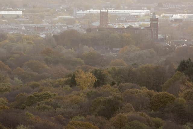 Autumn colours in Smithills Estate woodlands, Bolton  Credit: John MacPherson/Woodland Trust/PA Wire