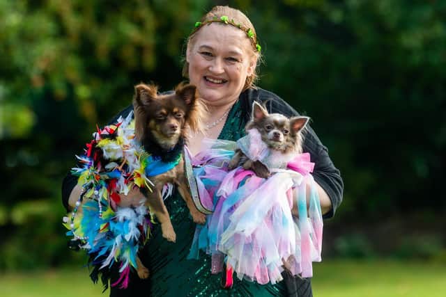 The event's co-organiser, June Hodgkins, with her two Long Coat Chihuahuas - Pixie, two, and Genevieve, three (Photo: James Hardisty)