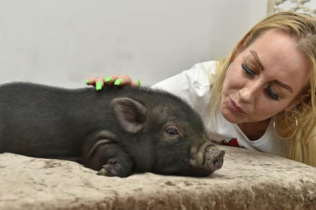 Kimberley Ramsay with Piglet

Photo: Steve Riding