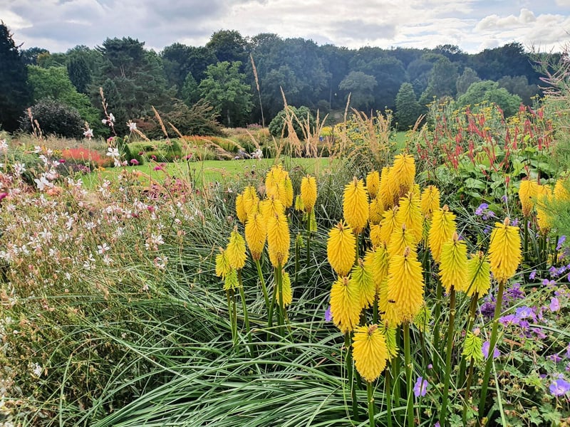 Autumn at Harlow Carr Gardens, taken by Jeff Cousins.