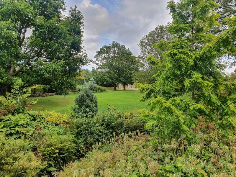 Harlow Carr Gardens, by Jeff Cousins.