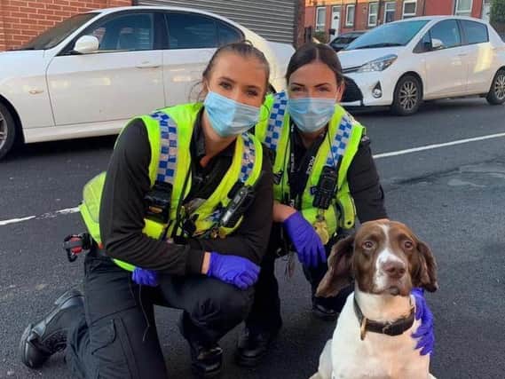 Police officers pictured with polce dog Marley.

Photo: West Yorkshire Police