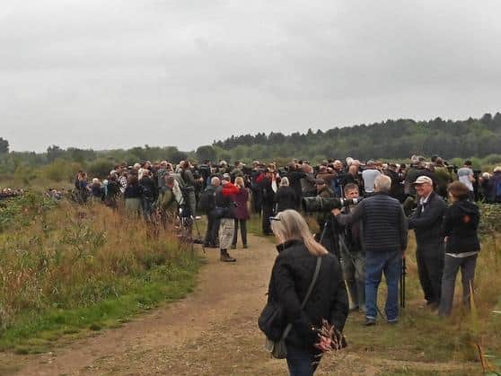 Bird watchers have flocked to St Aidan's. PIC: Dave Ward