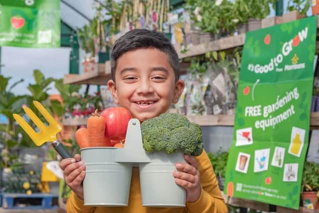 It’s Good To Grow aims to transform 14,000 schools in Britain into Morrisons Growing Schools