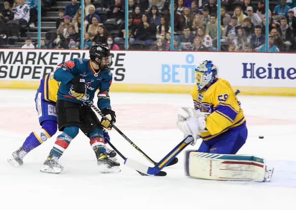 Mack stewart bears down on the goal of Fife Flyers' Shane Owen during Sunday's 6-3 Challenge Cup win for Belfast Giants at the SSE Arena. Picture courtesy of Matt Mackey/Press Eye/EIHL.