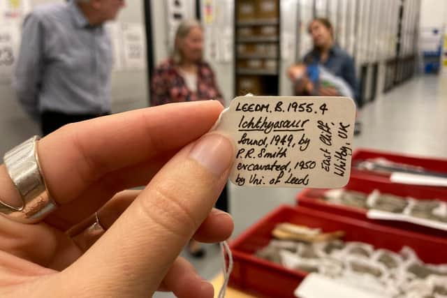 Pauline was certified as the person who discovered the fossil and the whole story is now going to be included in the museum display.