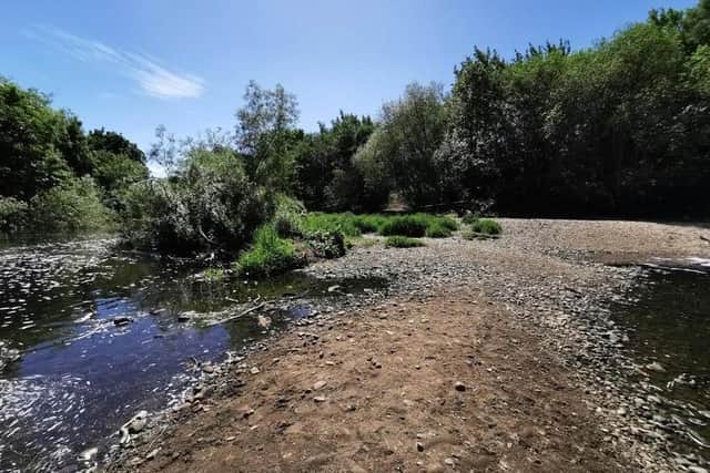 Kirkstall Valley Nature Reserve (PHOTO: Mark's History)