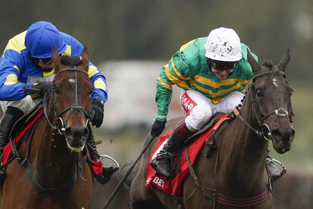 Shan Blue (left) lines up for Dan and Harry Skelton in the Charlie Hall Chase today.
