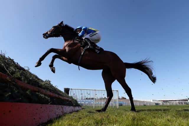 Shan Blue puts his burgeoning reputation on the line in the Charlie Hall Chase today for brothers Dan and Harry Skelton.