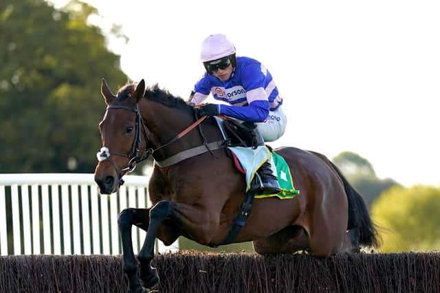 Cyrname could be retired after Harry Cobden had to pull up the 2020 Charlie Hall Chase hero in this year's renewal.