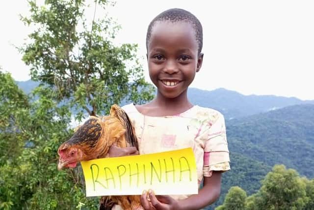 Raphinha the hen finds a new home in Nkuringo, Uganda. Pic: Asgario Turyagyenda.