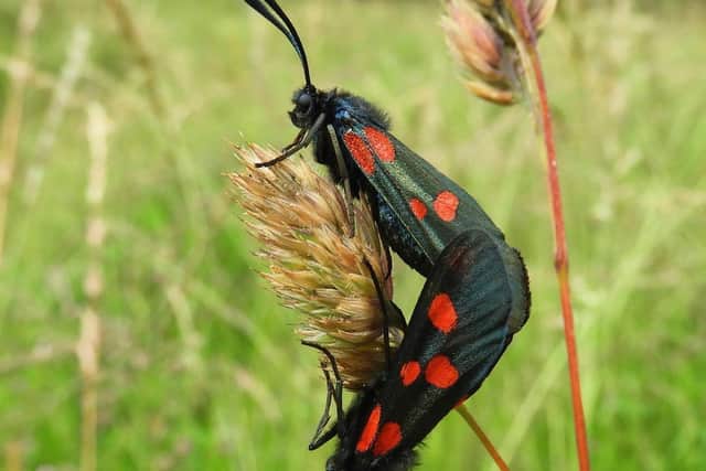 PICS: Mary-Beth Whittingstall