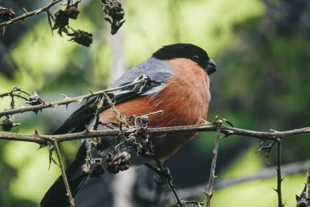 PICS: Mary-Beth Whittingstall