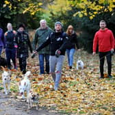 Danny Silk, pictured on one of his dog walks in Meanwood Park, with his dogs Cercei and Elsa, and fellow walkers.