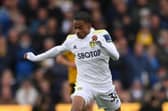 BRIGHT PROSPECT - Leeds United winger Crysencio Summerville, 20, scored in his first start for Netherlands Under 21s. Pic: Getty