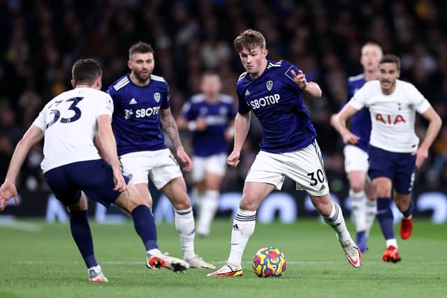 Our fans' panel were impressed with Joe Gelhardt at Tottenham Hotspur and would be happy for him to lead the line again if required at Brighton. Picture: Ryan Pierse/Getty Images.