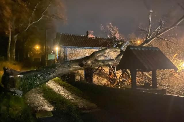 A gigantic tree was blown onto the old barn