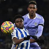 BACKING: From Leeds United head coach Marcelo Bielsa for Whites left back Junior Firpo, top, pictured grappling with Tariq Lamptey in Saturday's goalless draw at the Amex. Photo by GLYN KIRK/AFP via Getty Images.